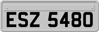 ESZ5480