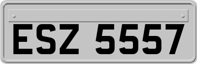 ESZ5557
