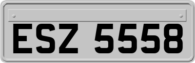 ESZ5558