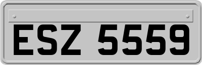 ESZ5559