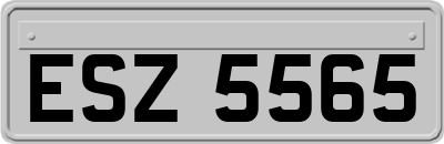 ESZ5565