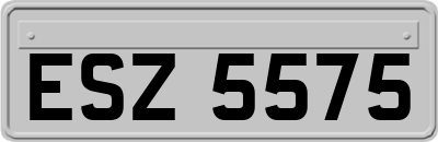 ESZ5575