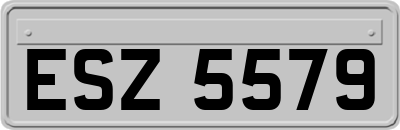ESZ5579