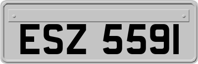 ESZ5591