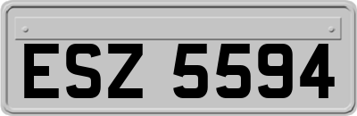 ESZ5594