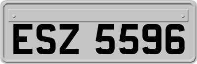ESZ5596
