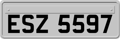 ESZ5597