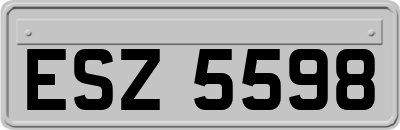 ESZ5598