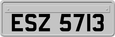 ESZ5713