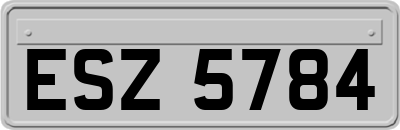 ESZ5784