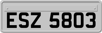 ESZ5803