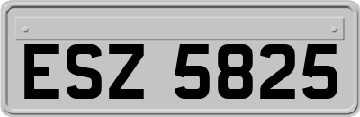 ESZ5825