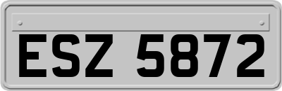 ESZ5872