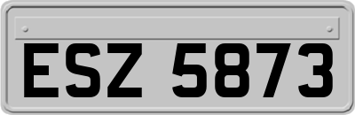 ESZ5873