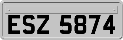 ESZ5874