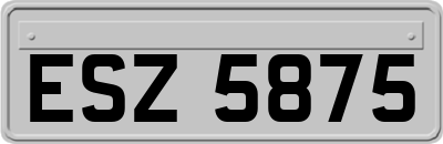 ESZ5875