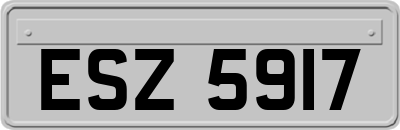 ESZ5917