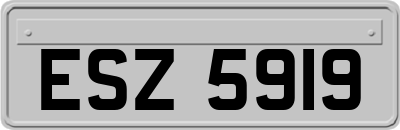 ESZ5919