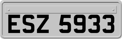 ESZ5933