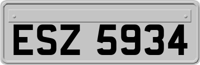 ESZ5934