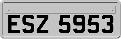 ESZ5953