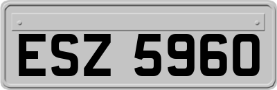 ESZ5960