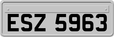 ESZ5963