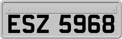 ESZ5968