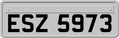 ESZ5973