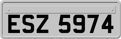 ESZ5974