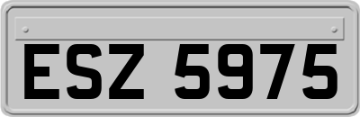 ESZ5975