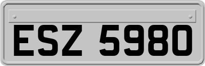 ESZ5980