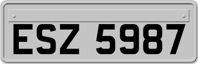 ESZ5987