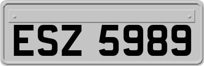 ESZ5989