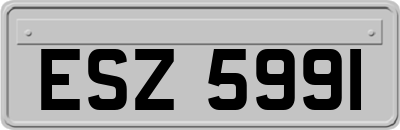 ESZ5991