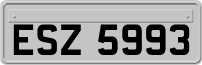 ESZ5993