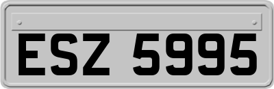ESZ5995
