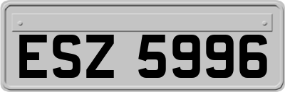 ESZ5996