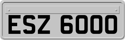 ESZ6000
