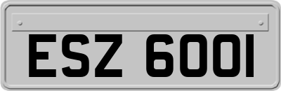 ESZ6001