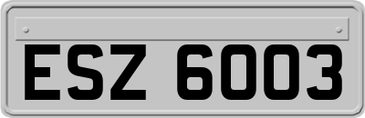 ESZ6003