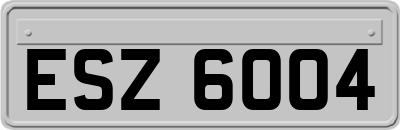 ESZ6004