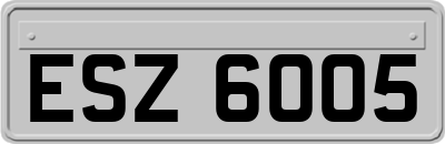 ESZ6005