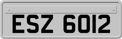 ESZ6012