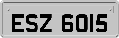 ESZ6015