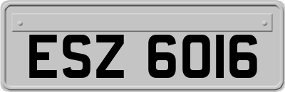 ESZ6016
