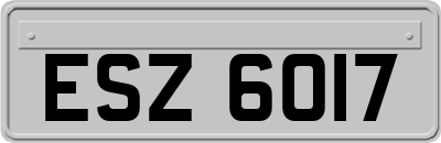 ESZ6017