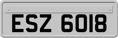 ESZ6018