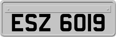 ESZ6019