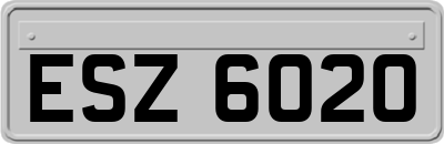 ESZ6020